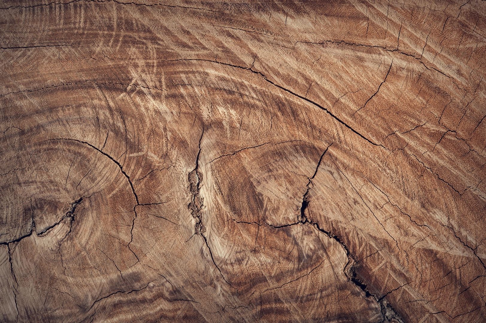 Detailaufnahme von Holz mit Einkerbungen