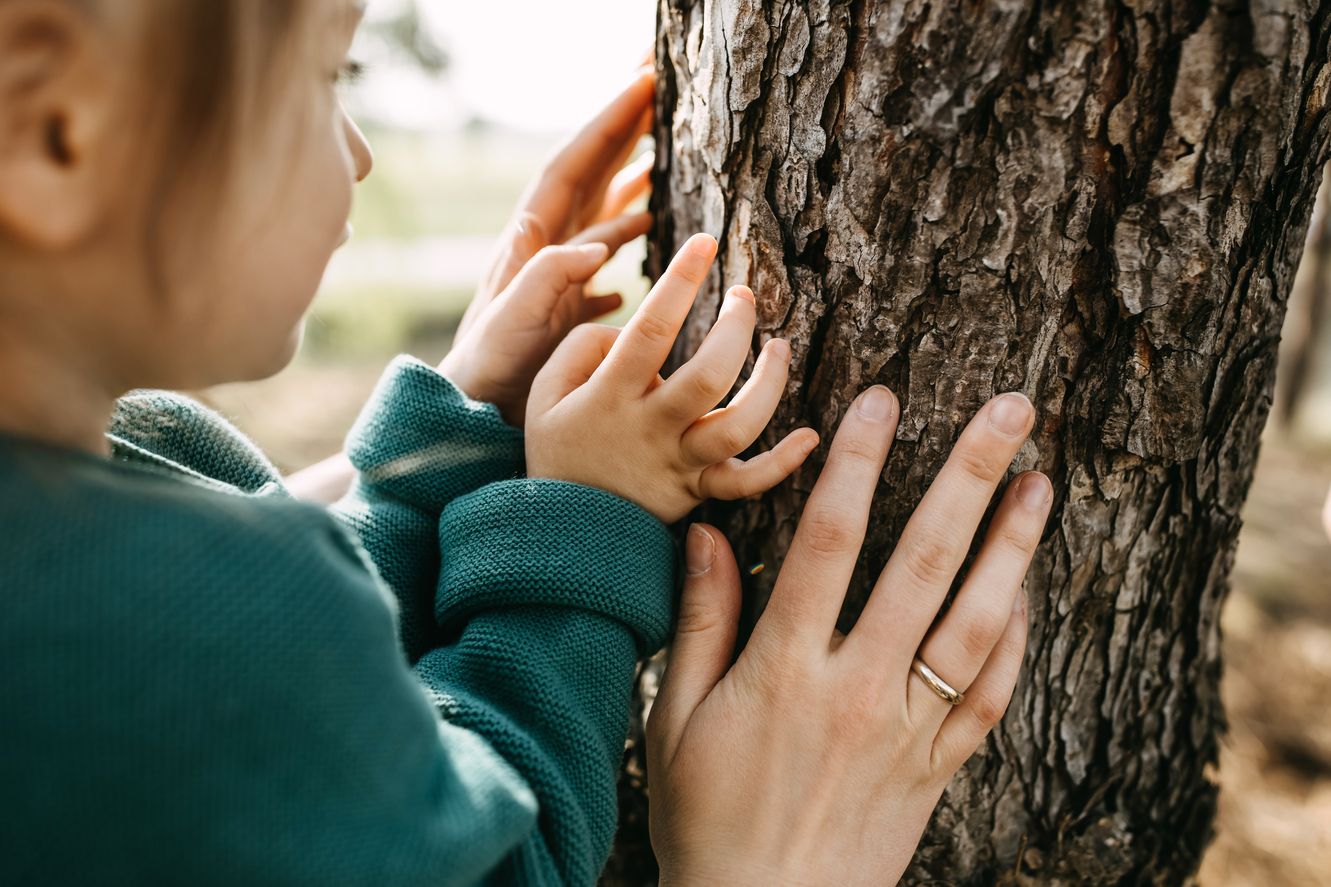 Kinder- und Erwachsenenhände ertasten die raue Rinde eines Baumes in der Natur.